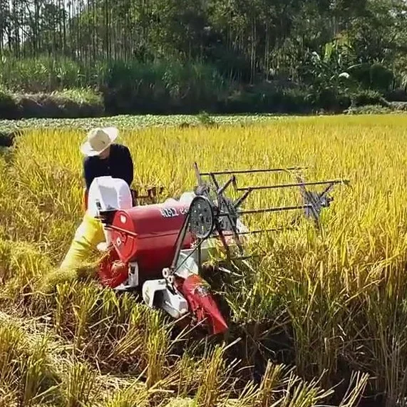 Combine Harvester Mini - 自動13馬力新型小麦・米収穫機 クボタ・ズームリオン・YTO ミニコンバインハーベスター 小麦・米用