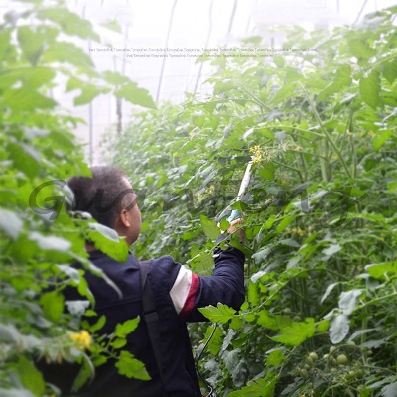 220V‑50Hz 6A 電動振動式授粉機 ポータブル作物授 - Agriculture Tomato Farming のレビューと価格