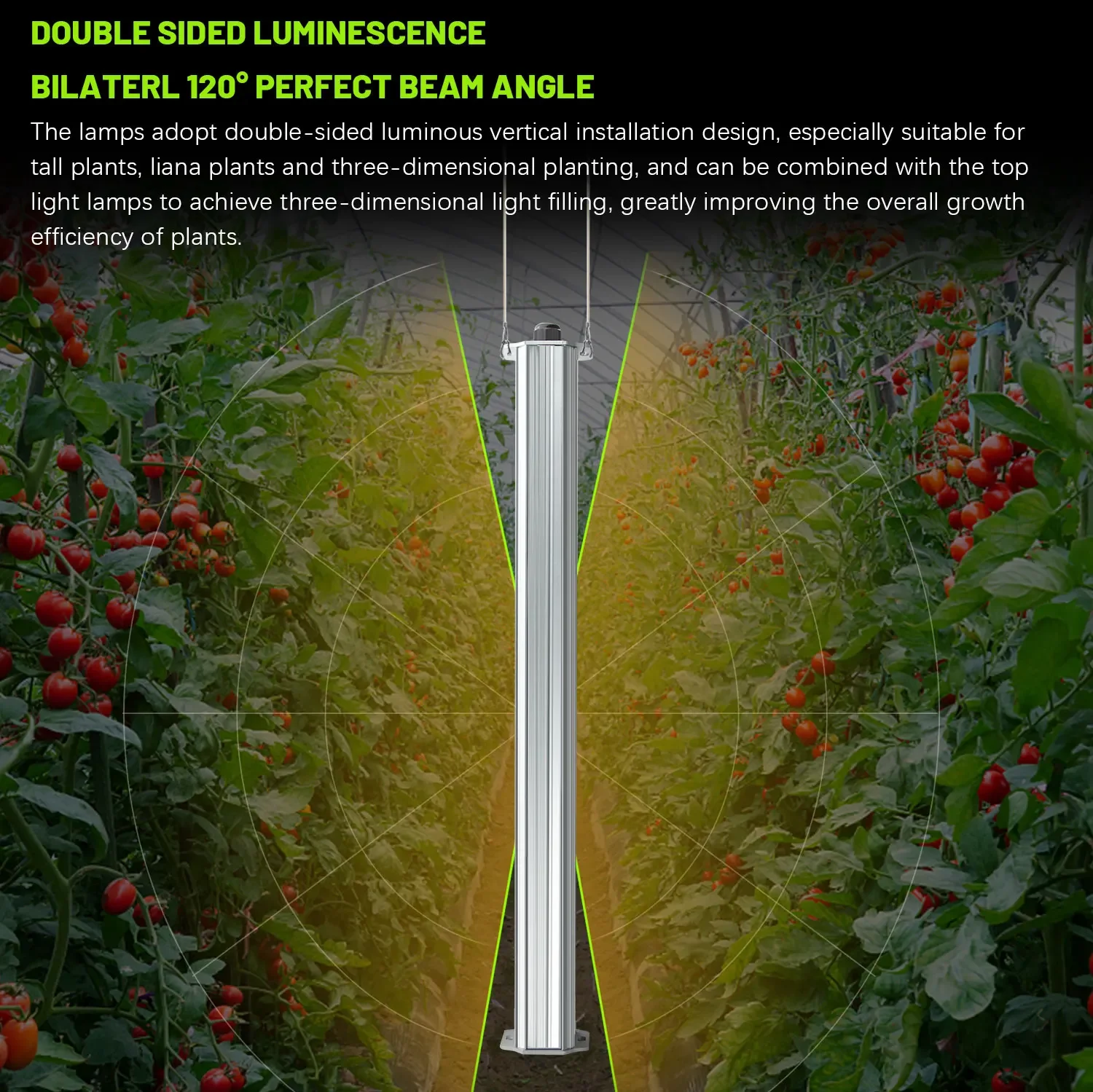 最高のETL認定プラントグリーンウォール農業用垂直庭園水耕栽 - Agriculture Tomato Farming のレビューと価格