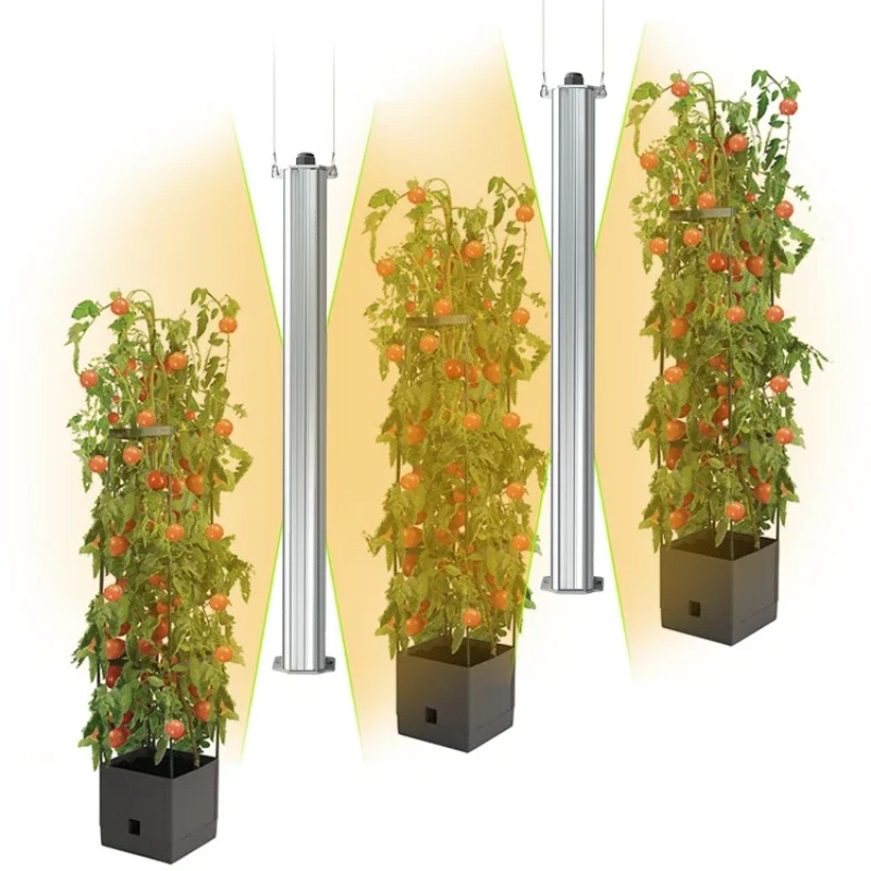 最高のETL認定プラントグリーンウォール農業用垂直庭園水耕栽 - Agriculture Tomato Farming のレビューと価格