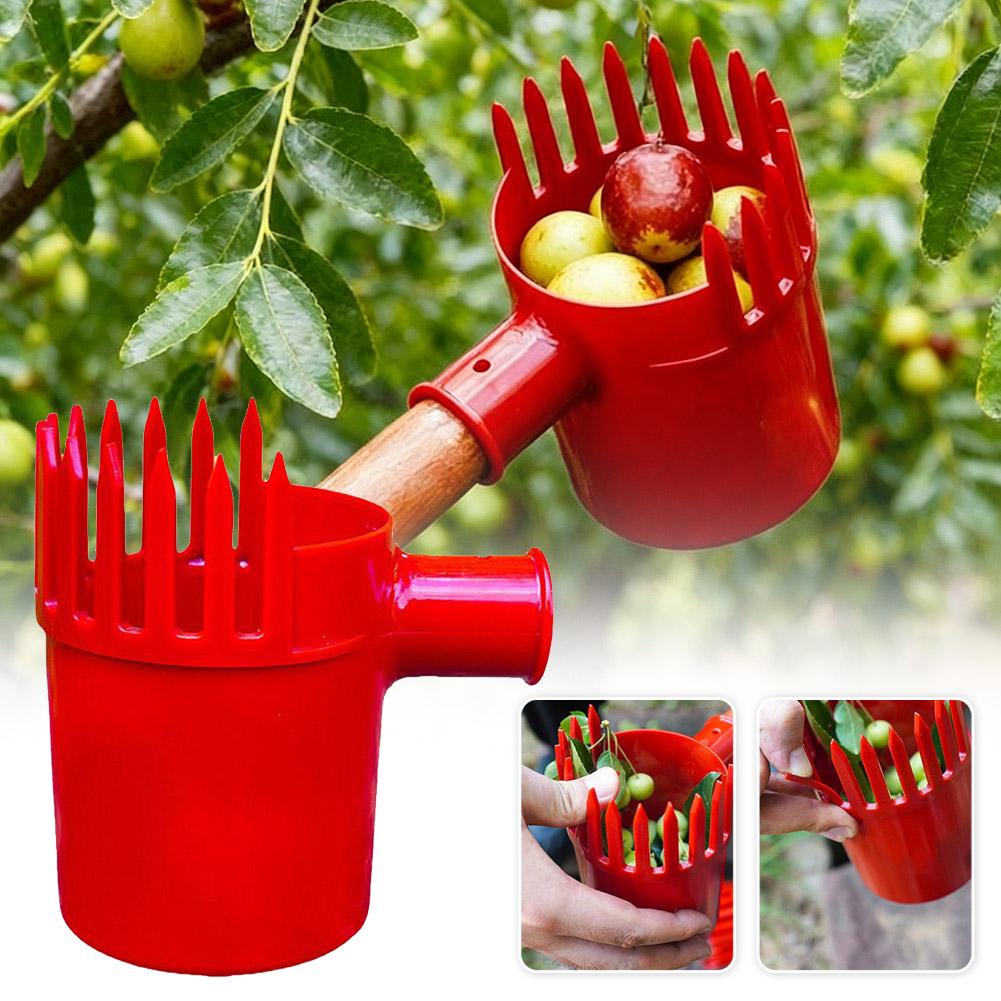 1個入り小型果実ピッカー、携帯型収穫ツール、チェリートマトや - Agriculture Tomato Farming のレビューと価格