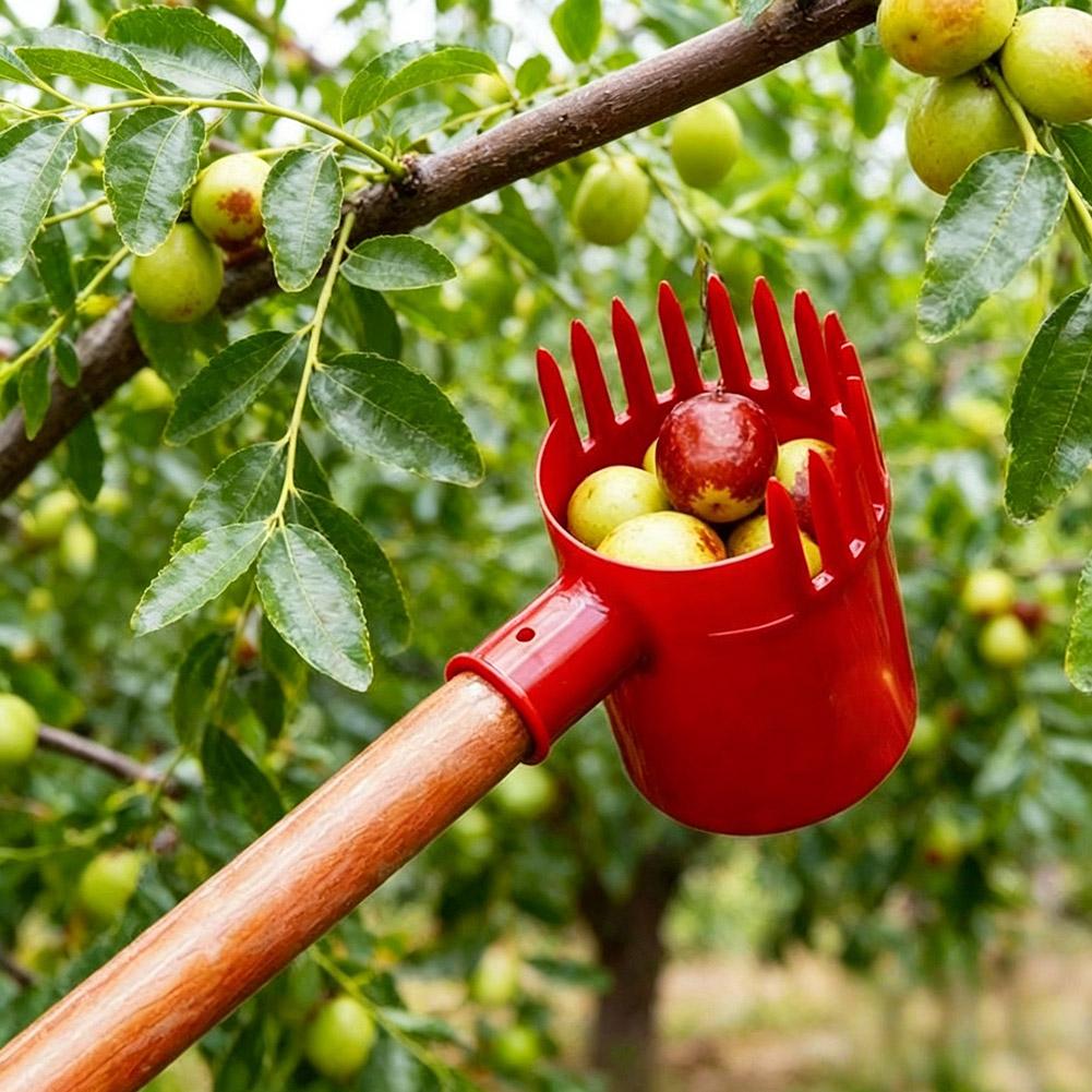 1個入り小型果実ピッカー、携帯型収穫ツール、チェリートマトや - Agriculture Tomato Farming のレビューと価格