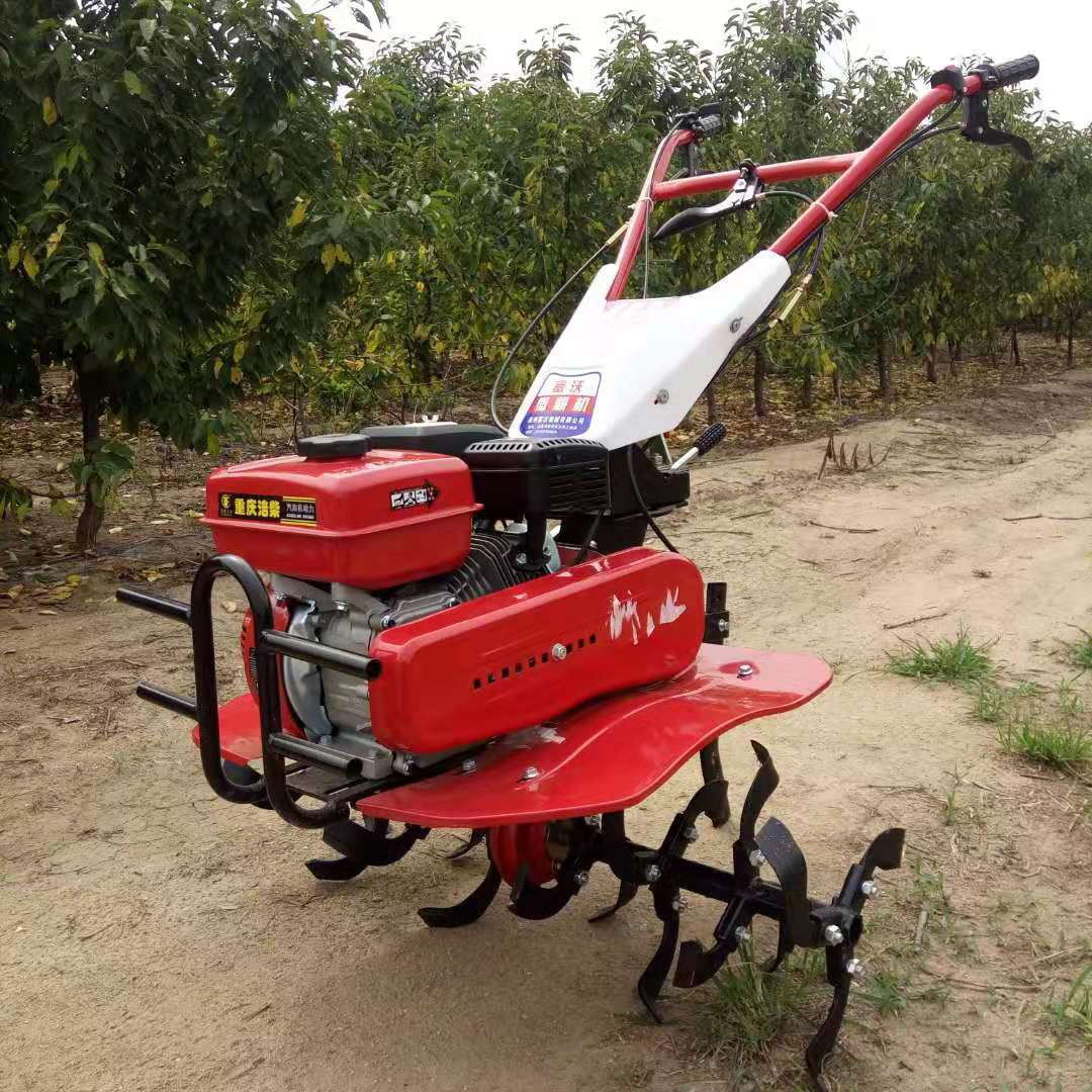 高生産性で長寿命のオールギア式マイクロ耕運機、丘陵地や果樹園 - Farming Jobs のレビューと価格